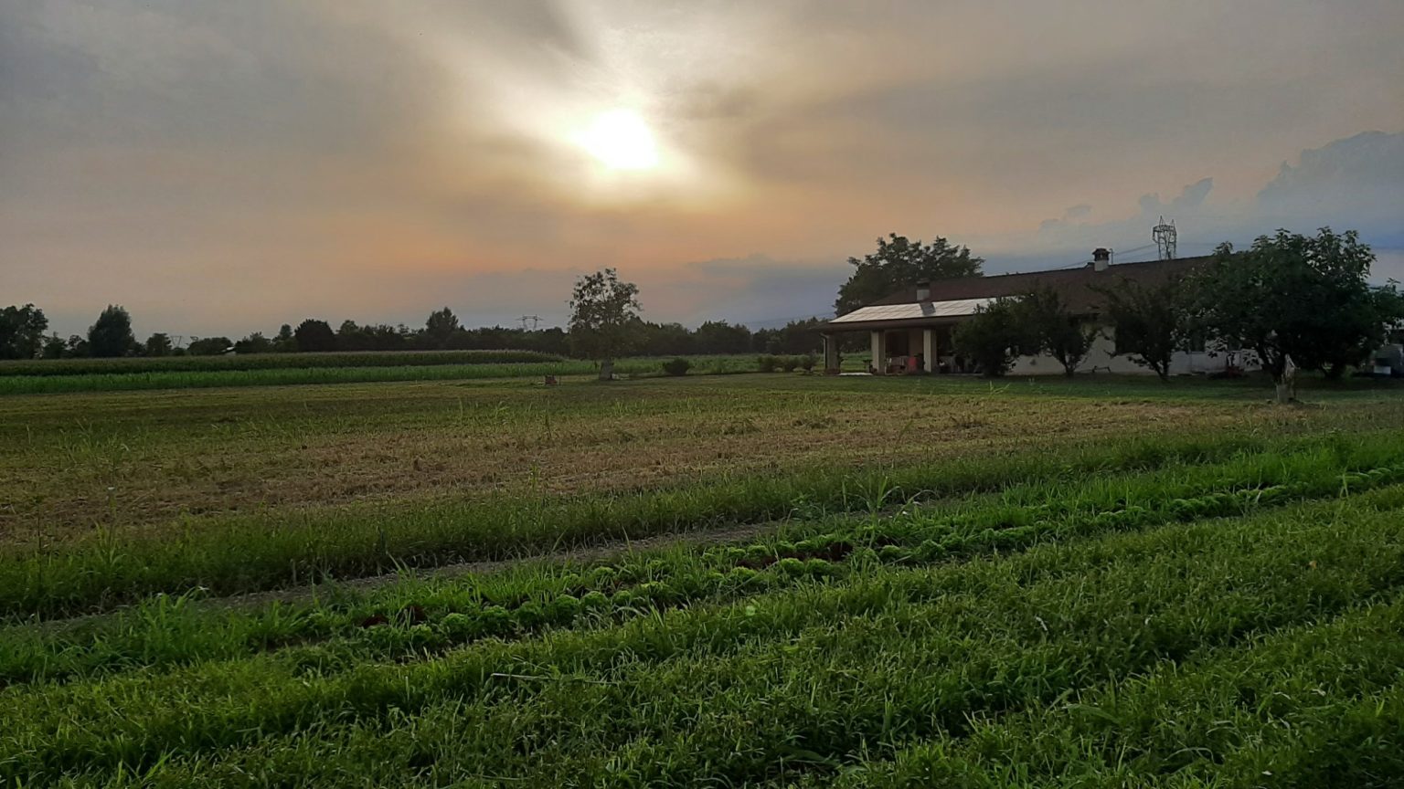 Campi e fabbricato agricolo nella fotografia pubblicata sul sito di Antonio Berti
